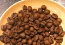 UCCがコーヒー2050年問題の解決へ一歩前進 収穫量の安定が見込めてレギュラーコーヒーに適した「ファインロブ」日本初導入 ファインロブ