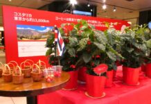 東京駅でコーヒーチェリーの疑似収穫体験 伊藤園とタリーズコーヒージャパンが開催 コスタリカ産コーヒーの魅力を紹介 農園に見立てて行う疑似収穫体験
