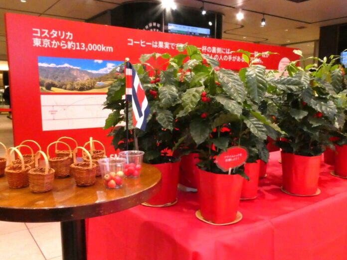 農園に見立てて行う疑似収穫体験