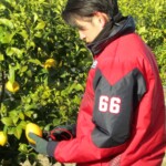 (7)広島東洋カープの遠藤淳志選手(大崎上島町) (7)広島東洋カープの遠藤淳志選手(大崎上島町)