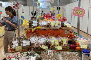 新製品の展示(東京都立産業貿易センター浜松町館) 新製品の展示(東京都立産業貿易センター浜松町館)