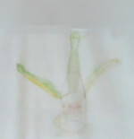 SDGs怪獣案サンアーリ SDGs怪獣案サンアーリ